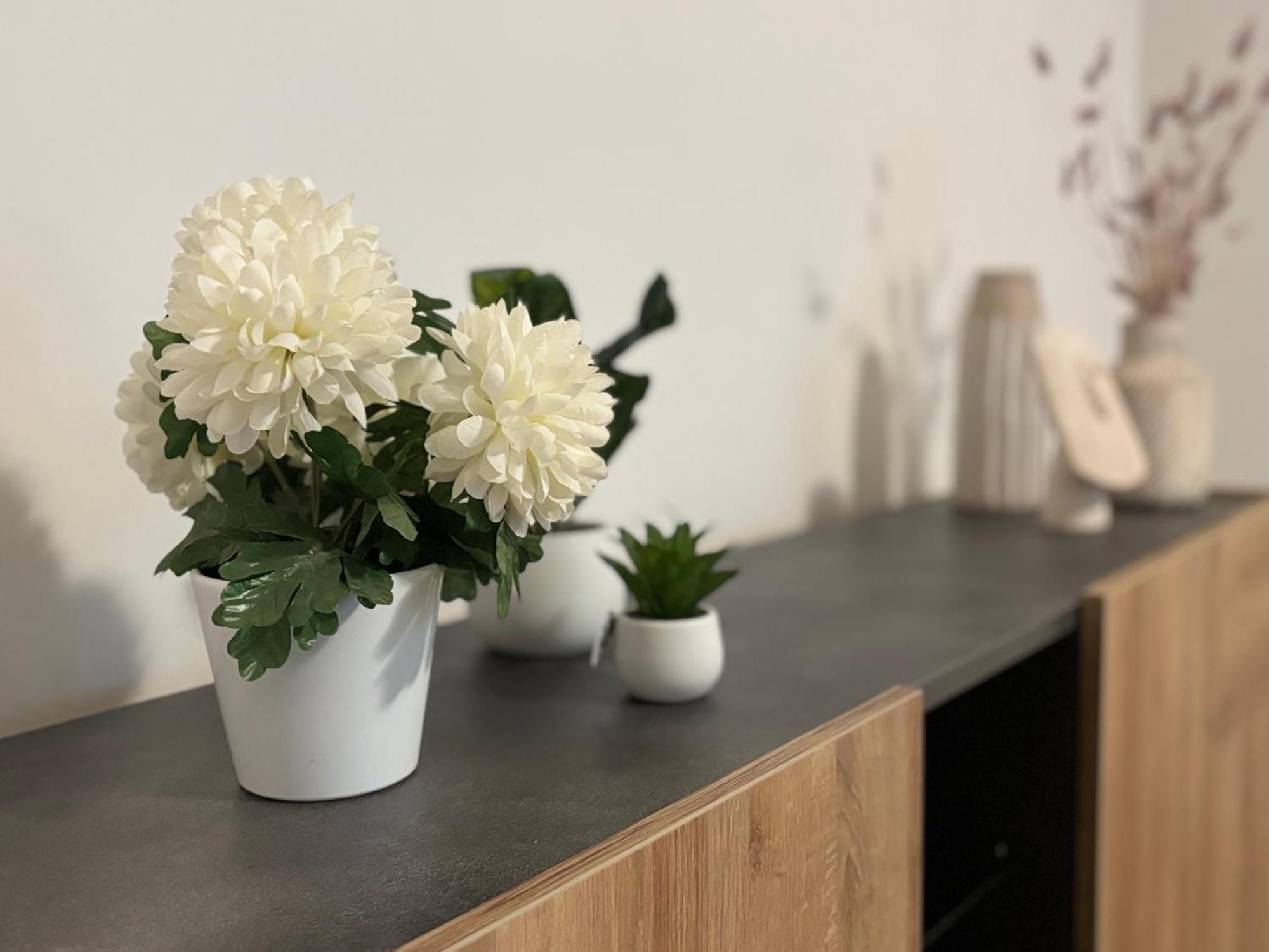 St. Alvise Suite Venice Ngoại thất bức ảnh